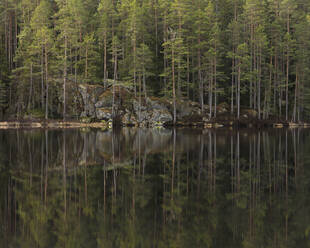 Wald am See - FOLF10488