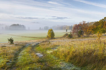 Nebel auf einem Feld im Herbst - FOLF10499