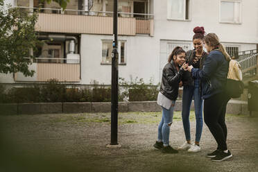 Teenage girls using smart phone in park - FOLF10556