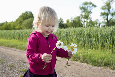 Mädchen mit Gänseblümchen - FOLF10582