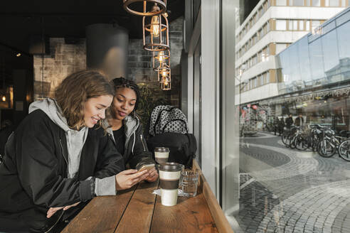 Teenager-Mädchen benutzt Smartphone in einem Cafe - FOLF10672