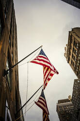 Amerikanische Flagge hängt an einem Gebäude - FOLF10722