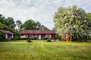 Garten und Häuser in Borgholm, Schweden - FOLF10747