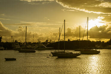 Im Hafen von Ponce vertäute Segelboote bei Sonnenuntergang, Puerto Rico, Karibik - RUNF02941