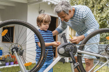 Father and son repairing a bicycle in garden - DIGF08147