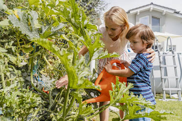 Mother and son watering plants in garden - DIGF08155