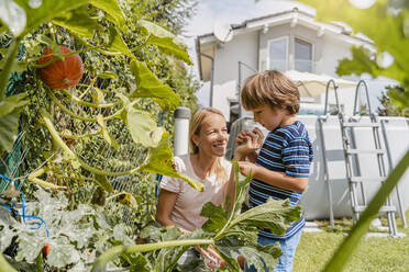 Mutter und Sohn bei der Pflege von Gemüse im Garten - DIGF08161