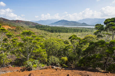 Blick auf den Blue River Provincial Park gegen den Himmel, Yate, Neukaledonien, lizenzfreies Stockfoto