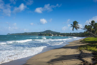 Blick auf den Strand vor blauem Himmel in Sauteurs, Grenada, Karibik - RUNF02971