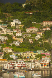 Blick von oben auf die Stadt St. George's am Meer, Grenada, Karibik - RUNF02983