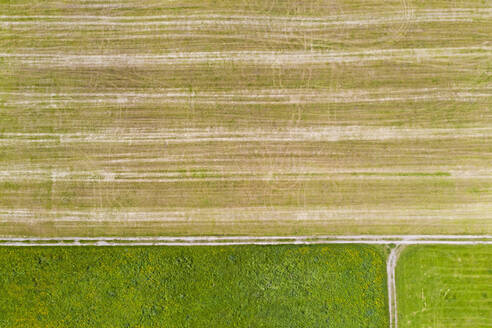 Luftaufnahme eines landwirtschaftlichen Feldes, Beuerberg, Deutschland - LHF00683