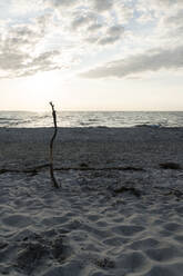 Scenic view of Baltic sea against sky at sunset, Ahrenshoop, Germany - MYF02139