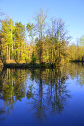 Blick auf die Altmühl mit Bäumen vor blauem Himmel, Windelsbach, Deutschland - LBF02716