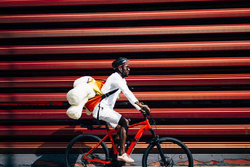 Fahrradkurier, der einen Teddybären ausliefert, fährt an einer roten Wand vorbei - OCMF00692