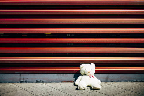 Lonely teddy bear at red wall - OCMF00699