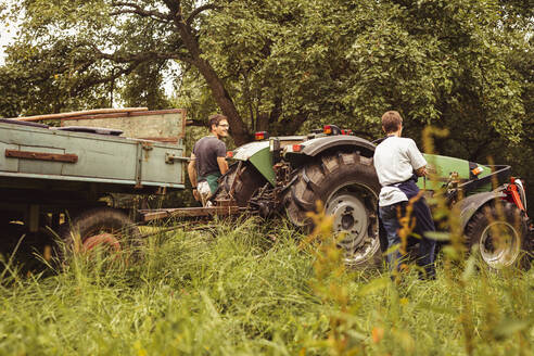 Zwei Personen mit Traktor bei der Kirschernte im Obstgarten - SEBF00156
