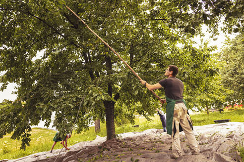 Mann schüttelt Baum bei der Kirschernte im Obstgarten - SEBF00172