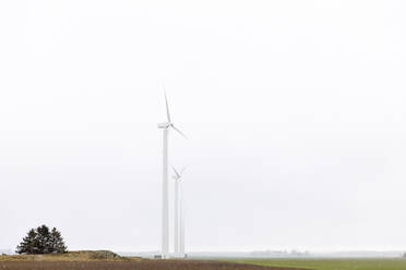 Windmühlen im Feld - FOLF10833