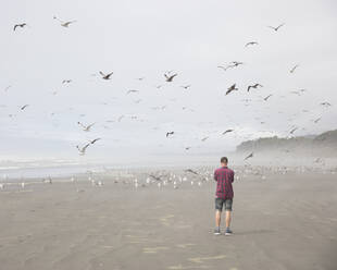 Mann am Strand mit Möwen - FOLF10887