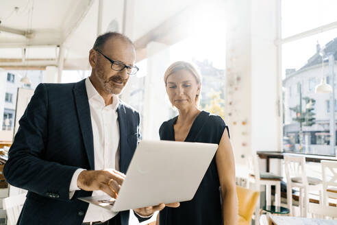 Businessman and woman standing in coffee shop, using laptop - KNSF06369