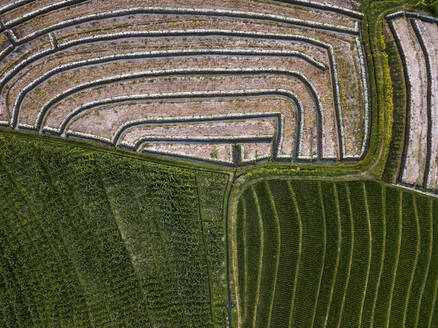 Aerial view of agricultural landscape, Bali, Indonesia - KNTF03358