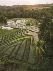 Luftaufnahme einer landwirtschaftlichen Landschaft gegen den Himmel bei Sonnenuntergang, Bali, Indonesien - KNTF03362