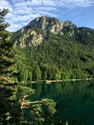 Blick auf den Alpsee vor grünen Bergen im Wald im Ostallgäu, Deutschland - JTF01296