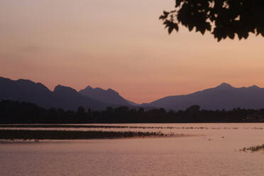 Blick auf den Forggensee und die Silhouette der Berge bei klarem Himmel im Ostallgäu, Deutschland - JTF01300