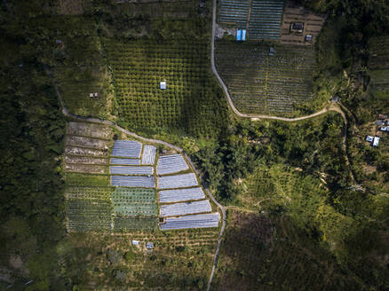 Aerial view of farm at Bali island, Indonesia - KNTF03389