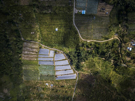 Luftaufnahme einer Farm auf der Insel Bali, Indonesien - KNTF03389