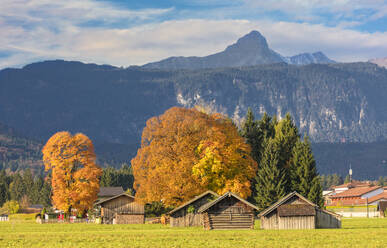 Holzhütten umgeben von bunten Bäumen im Herbst, Garmisch Partenkirchen, Oberbayern, Deutschland, Europa - RHPLF08830