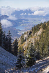 Frost auf Bäumen in den Wäldern der Ammergauer Alpen, Tegelberg, Füssen, Bayern, Deutschland, Europa - RHPLF08835