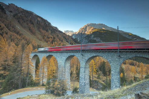 Roter Zug auf Viadukt umgeben von bunten Wäldern, Preda, Bergun, Albulatal, Kanton Graubünden, Engadin, Schweiz, Europa - RHPLF08842