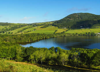 Landschaft von Loch Ness, Drumnadrochit, Highlands, Schottland, Vereinigtes Königreich, Europa - RHPLF08893