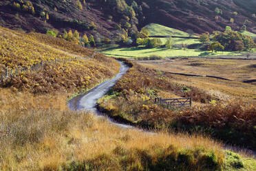 Herbstlicher Blick auf ein Tor und eine gewundene Straße durch die farnbewachsenen Hügel und Fjälls des Langdale Valley im Lake District National Park, Cumbria, England, Vereinigtes Königreich, Europa - RHPLF08915