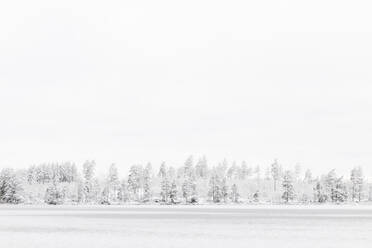 Wald am zugefrorenen See Stora Skiren in Finspang, Schweden - FOLF10927