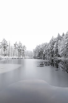 Eis auf einem See mit schneebedeckten Bäumen in Lotorp, Schweden - FOLF10928