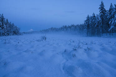 Erdhügel im Schnee im Naturschutzgebiet Stora Botet, Schweden - FOLF11018