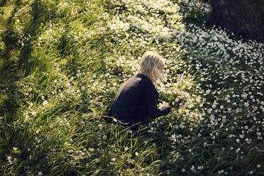 Mädchen pflückt Blumen auf einer Wiese - FOLF11079