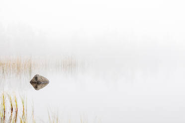 Felsen und Schilf im See bei Nebel - FOLF11093