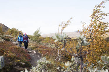 Frauen wandern - FOLF11281