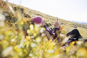 Woman lying in field using smart phone - FOLF11289