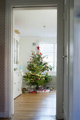 Weihnachtsbaum im Wohnzimmer - FOLF11316