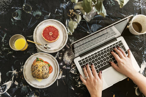 Hände einer Frau, die beim Frühstück einen Laptop benutzt - FOLF11362