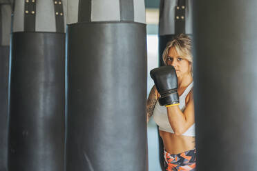 Portrait of woman with boxing gloves at sandbag in gym - DLTSF00085