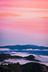 Mendocino landet unter rosa Himmel - CAVF63304