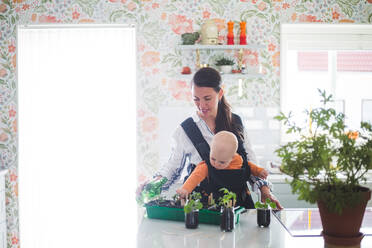 Arbeitende Mutter und Tochter bei der Gartenarbeit in der Küche zu Hause - MASF13450