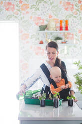 Mid adult freelancer carrying daughter while watering potted plants on kitchen island - MASF13456