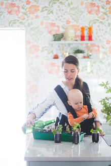 Mittelgroßer Freiberufler trägt Tochter beim Gießen von Topfpflanzen auf der Kücheninsel - MASF13456