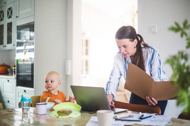 Weibliche Fachkraft, die eine Akte hält, während sie den Laptop ihrer Tochter am Esstisch im Büro zu Hause benutzt - MASF13480